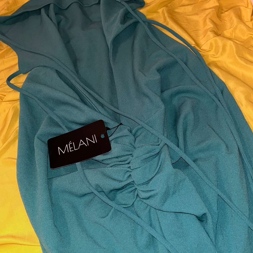 Melani the label dress